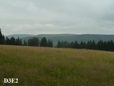 výhled na hřeben Orlických hor (poblíž turistického rozcestí Nad Zdobnicí)