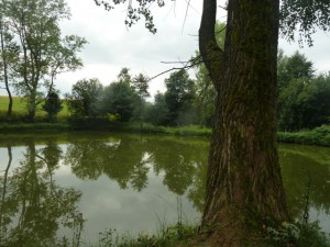 soustava rybníků u vesnice Kačerov